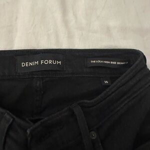 Aritzia Denim Forum High Rise Skinny Jeans
